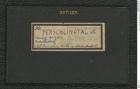 Seite 1, Tagebuch "Perschlingtal etc." (NHMW-PRAE-BBB-30)